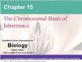 Sinh học - Chapter 15: The chromosomal basis of inheritance