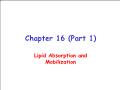 Sinh học - Chapter 16 (part 1): Lipid absorption and mobilization