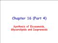 Sinh học - Chapter 16 (part 4): Synthesis of eicosanoids, glycerolipids and isoprenoids