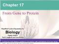 Sinh học - Chapter 17: From gene to protein