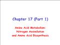 Sinh học - Chapter 17 (part 1): Amino acid metabolism: Nitrogen assimilation and amino acid biosynthesis