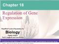 Sinh học - Chapter 18: Regulation of gene expression