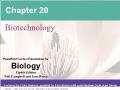 Sinh học - Chapter 20: Biotechnology