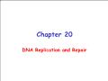 Sinh học - Chapter 20: DNA replication and repair