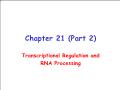 Sinh học - Chapter 21 (part 2): Transcriptional regulation and rna processing