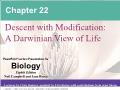 Sinh học - Chapter 22: Descent with modification: A darwinian view of life