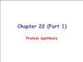 Sinh học - Chapter 22 (part 1): Protein synthesis