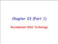 Sinh học - Chapter 23 (part 1): Recombinant DNA technology