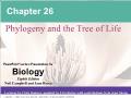 Sinh học - Chapter 26: Phylogeny and the tree of life