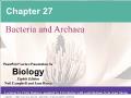 Sinh học - Chapter 27: Bacteria and archaea