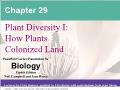 Sinh học - Chapter 29: Plant diversity I: How plants colonized land