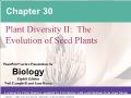 Sinh học - Chapter 30: Plant diversity II: The evolution of seed plants