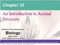 Sinh học - Chapter 32: An introduction to animal diversity