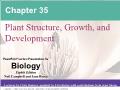 Sinh học - Chapter 35: Plant structure, growth, and development