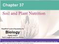 Sinh học - Chapter 37: Soil and plant nutrition