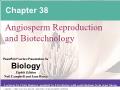 Sinh học - Chapter 38: Angiosperm reproduction and biotechnology