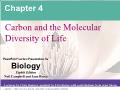 Sinh học - Chapter 4: Carbon and the molecular diversity of life