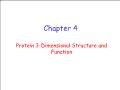 Sinh học - Chapter 4: Protein 3 - Dimensional structure and function