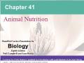 Sinh học - Chapter 41: Animal nutrition