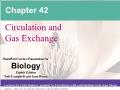 Sinh học - Chapter 42: Circulation and gas exchange