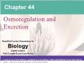 Sinh học - Chapter 44: Osmoregulation and excretion