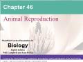 Sinh học - Chapter 46: Animal reproduction