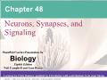 Sinh học - Chapter 48: Neurons, synapses, and signaling