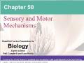 Sinh học - Chapter 50: Sensory and motor mechanisms