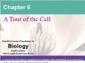 Sinh học - Chapter 6: A tour of the cell