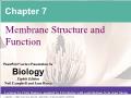 Sinh học - Chapter 7: Membrane structure and function