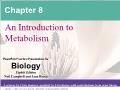 Sinh học - Chapter 8: An introduction to metabolism