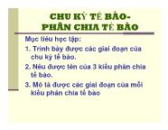 Sinh học - Chu kỳ tế bào phân chia tế bào