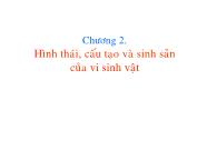 Sinh học - Chương 2: Hình thái, cấu tạo và sinh sản của vi sinh vật