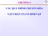 Sinh học - Chương 4: Các quá trình chuyển hóa vật chất của vi sinh vật