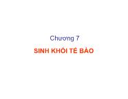 Sinh học - Chương 7: Sinh khối tế bào