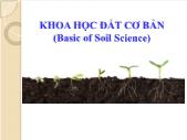 Sinh học - Khoa học đất cơ bản (basic of soil science)