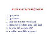 Sinh học - Kiểm soát biểu hiện gene