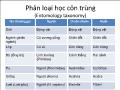 Sinh học - Phân loại học côn trùng (Entomology taxonomy)