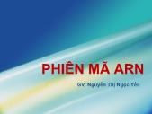 Sinh học - Phiên mã ARN