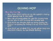 Sinh học - Quang hợp