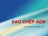 Sinh học - Sao chép ADN