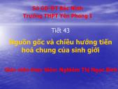 Sinh học - Tiết 43: Nguồn gốc và chiều hướng tiến hoá chung của sinh giới