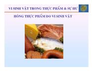 Vi sinh vật trong thực phẩm và sự hư hỏng thực phẩm do vi sinh vật